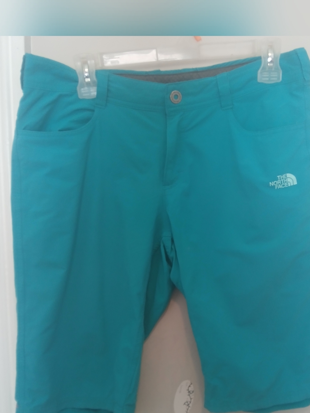 The North Face Women's Teal Outdoor Shorts